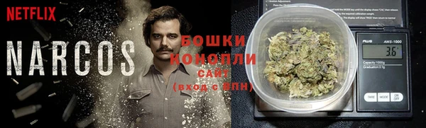 гашик Белокуриха