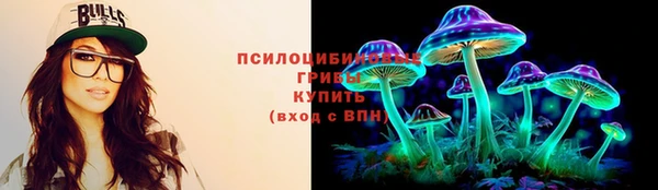 гашик Белокуриха