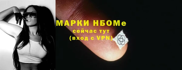 гашик Белокуриха