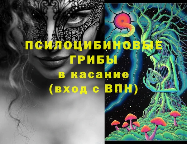 гашик Белокуриха