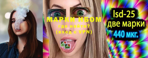гашик Белокуриха