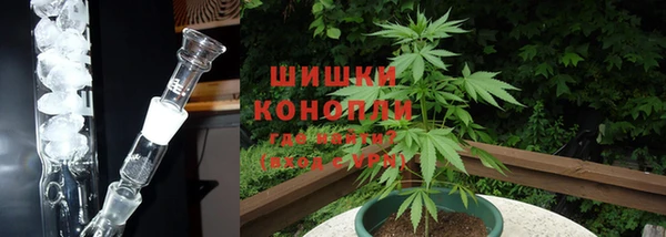 гашик Белокуриха
