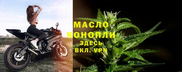 гашик Белокуриха
